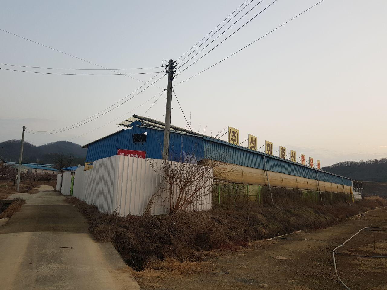 직영 한우농장 운영 시작